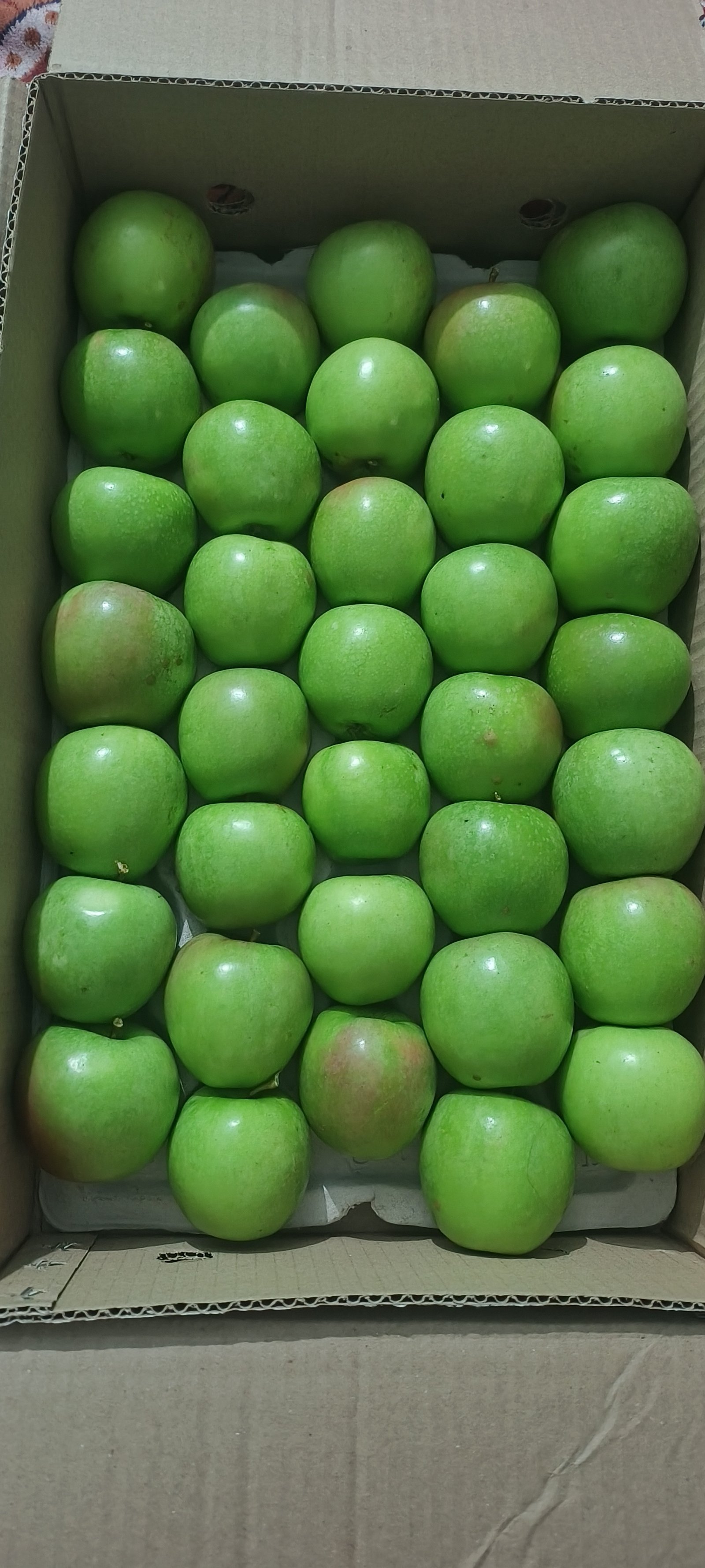 Packed granny smith