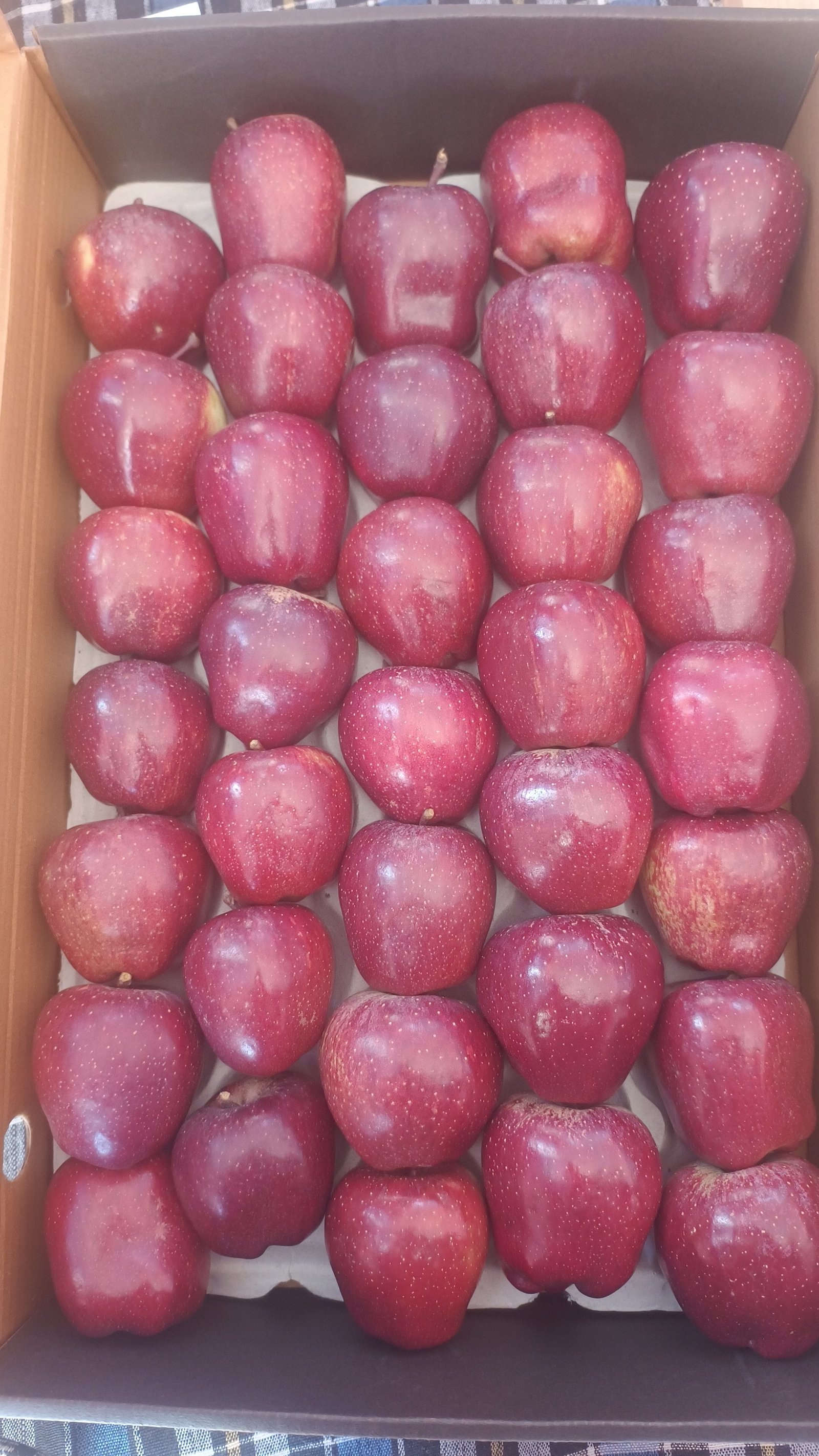 Packed royal delicious apple